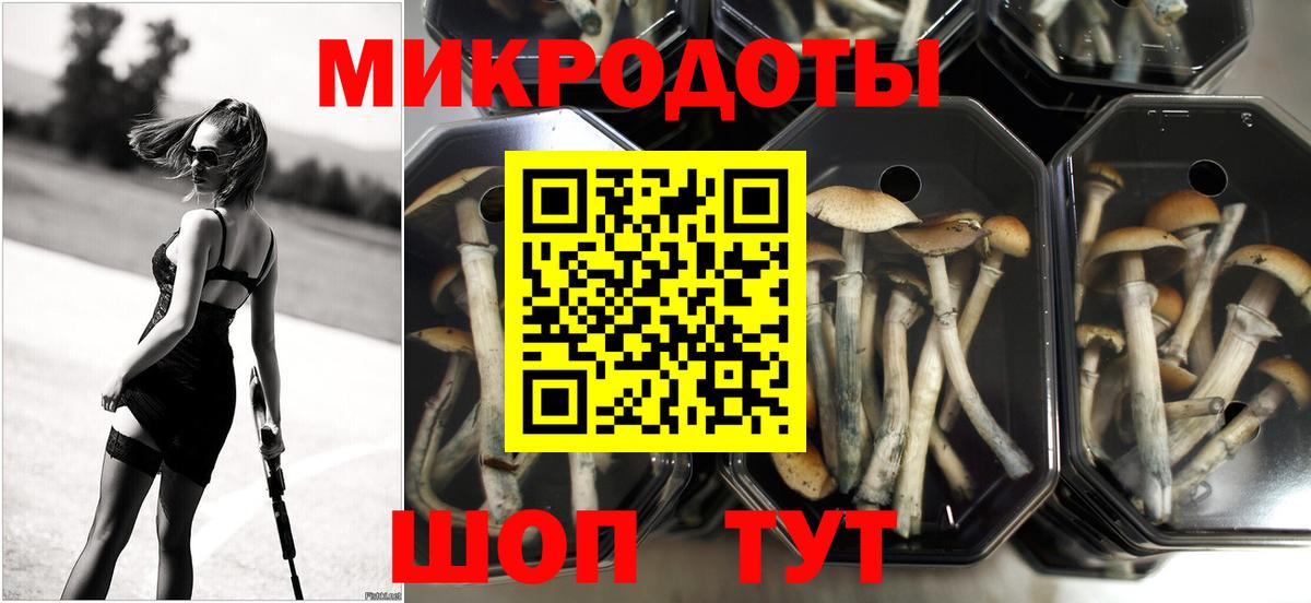 Псилоцибиновые грибы мухоморы Чита