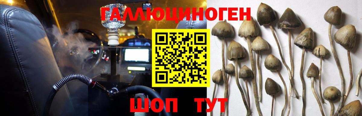 хочу наркоту  Вход с VPN  Чита  Галлюциногенные грибы GOLDEN TEACHER 
